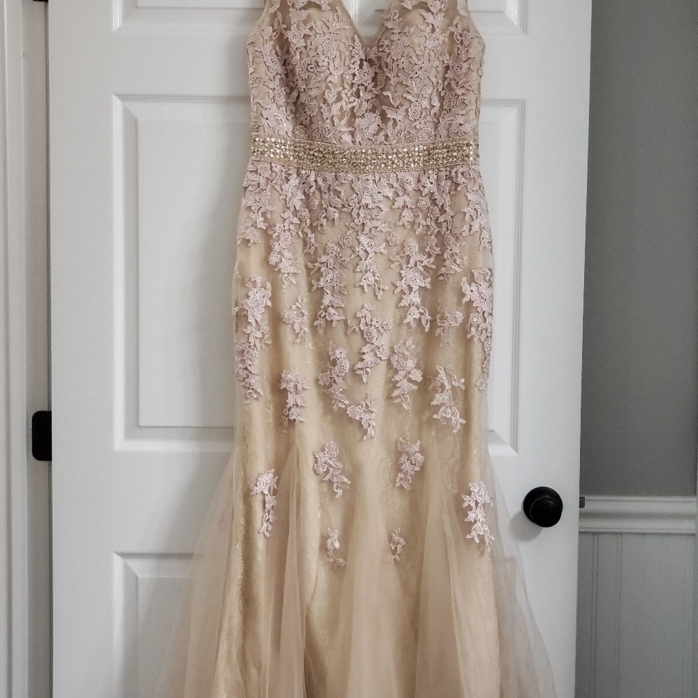 Mother of the Bride/Groom Gown